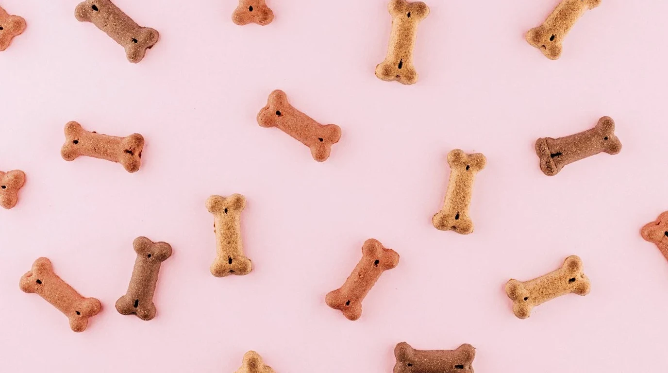 Canine Autophagy Intermittent Fasting 2026