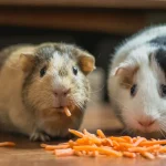 Canine Glycine & Collagen: Joint & Gut Health Guide