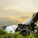 Dog Wheelchairs & Mobility Carts: Sizing & Rehab Guide