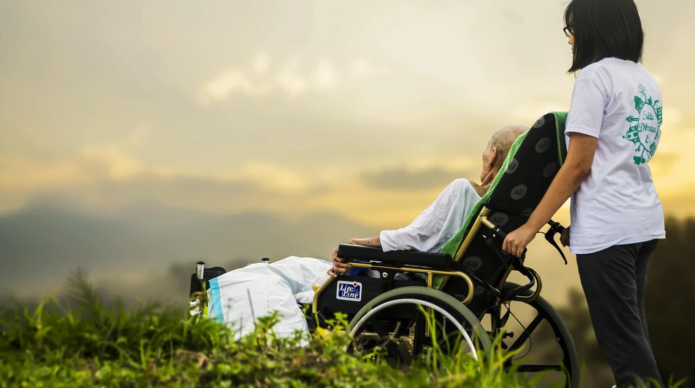 Dog Wheelchairs & Mobility Carts: Sizing & Rehab Guide