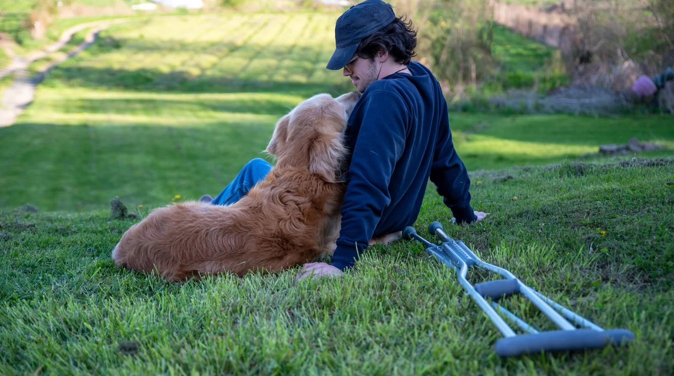 ch_oct27_ed1_golden-retriever-cancer-risk-g