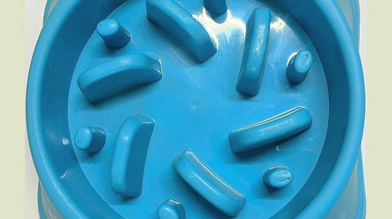 Dog Kidney Disease: Phosphorus Binders & Diet Guide